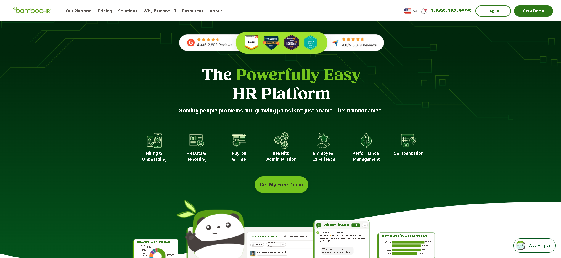 A BambooHR home dashboard showing time off balances, company announcements, employee celebrations, and who is out today and tomorrow.